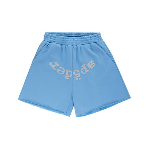 SP5DER DUSTY BLUE OG WEB V2 SWEATSHORT