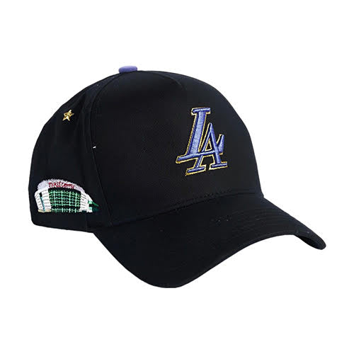 REFERENCE PARADISE LA HOLLYWOOD NIGHTS SNAPBACK CAP BLACK