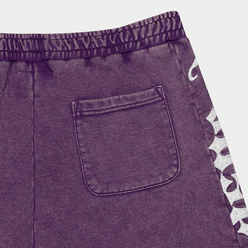 GODSPEED COURTSIDE SHORTS GRAPE WASH