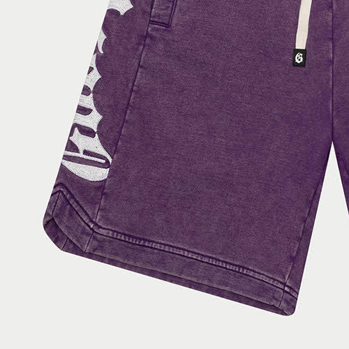 GODSPEED COURTSIDE SHORTS GRAPE WASH
