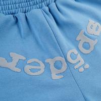 SP5DER DUSTY BLUE OG WEB V2 SWEATSHORT