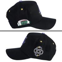 REFERENCE PARADISE LA HOLLYWOOD NIGHTS SNAPBACK CAP BLACK